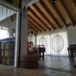 ZONA COMÚN